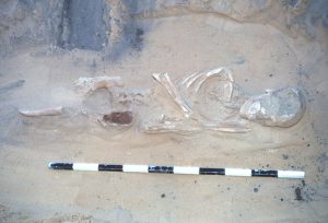 Deşi pe tot teritoriul Israelului se recuperează cu regularitate oseminte antice, precum acesta din Cezareea, nu s-a găsit nicio dovadă a uciderii miraculoase de către un înger a 185 000 de soldaţi